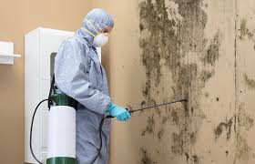 Best Asbestos and Lead Testing During Mold Inspection  in Mission Viejo, CA